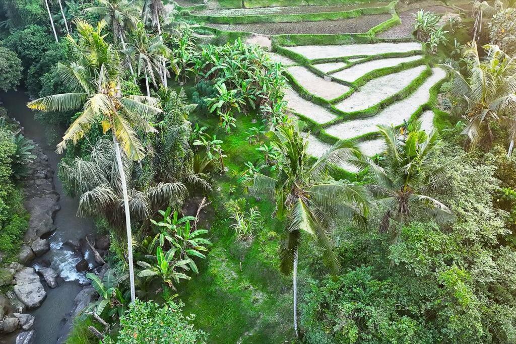Ubud Riverside Villa Exteriér fotografie